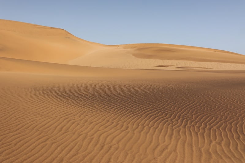 Desert Oases
